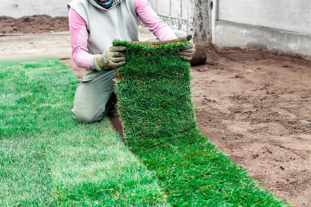 Artificial Grass Installation-img